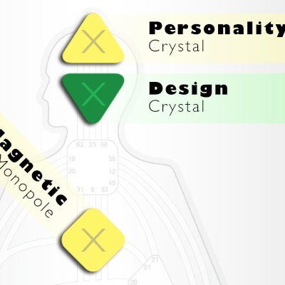 The Magnetic Monopole Personality Design
