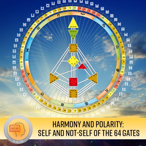 sfvC  SS Harmony and Polarity 64 Gates